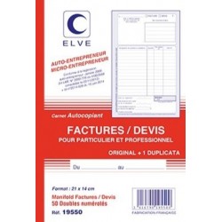 Manifold factures/devis auto-entrepreneur 21x14,8cm dupli