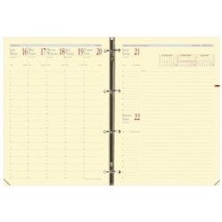 Recharge Timer 29 Prestige