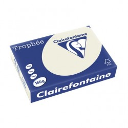 Papier Trophée A4 160g gris perle ramette de 250 feuilles