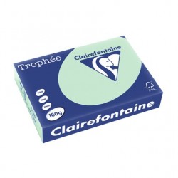 Papier Trophée A4 160g vert ramette de 250 feuilles