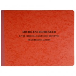 Piqûre recettes/achats auto-entrepreneur