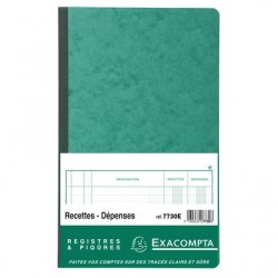 Piqûre recettes-dépenses 32x19,5cm 80 pages