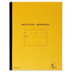 Piqûre recettes/dépenses A4