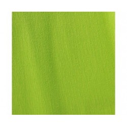 Papier crépon vert printemps rl.0.50x2.5m
