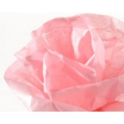 Papier soie rose rl.0.50x5m