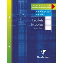 Feuillet mobile perforé 17x22 5/5 100 pages