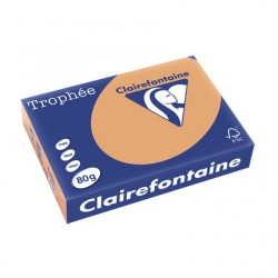 Papier Trophée A4 80g caramel ramette de 500 feuilles