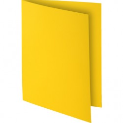 Sous-chemise Rock's 80g citron paquet de 100