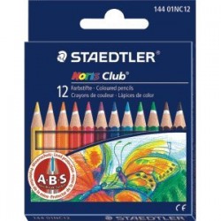 Crayon de couleur court x12