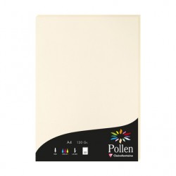 Carte Pollen A4 120g ivoire paquet de 50