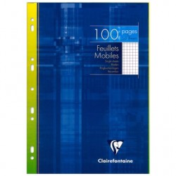 Feuillet mobile A4 perforé 5/5 étui de 100 pages