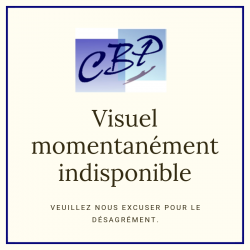 Cavalier 75x80 papier vergé pochette de 10