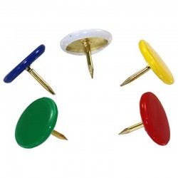 Punaises couleurs assorties x100 LS