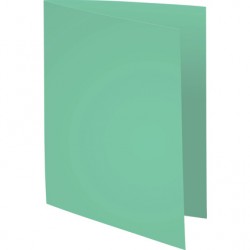Chemise Super 210g vert vif paquet de 100
