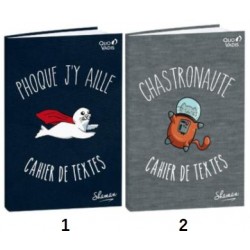 Cahier de textes broché 15x21 séyès couverture carte Shaman