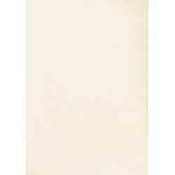 Couverture grain cuir A4 250g ivoire paquet de 100