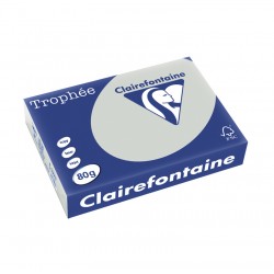 Papier Trophée A4 80g gris acier ramette de 500 feuilles