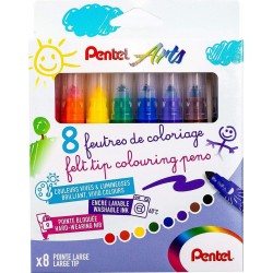 Feutre lavable pointe large pochette de 12