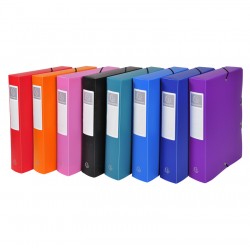 Boîte de classement polypro opaque Exabox dos 60mm