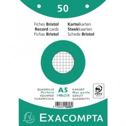 Bristol 148x210 blanc 5/5 perforé blister de 50